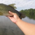 The Ultimate Guide to Bass Fishing in Northern VA