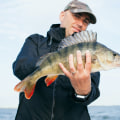 Gear Up For Success: Essential Equipment For Bass Fishing In Northern VA
