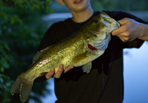 The Ultimate Guide to Bass Fishing in Northern Virginia